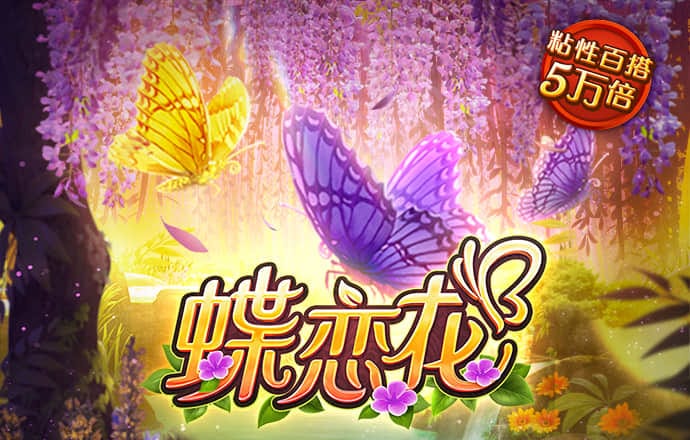 小鸟体育官网