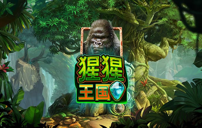ku酷游娱乐平台